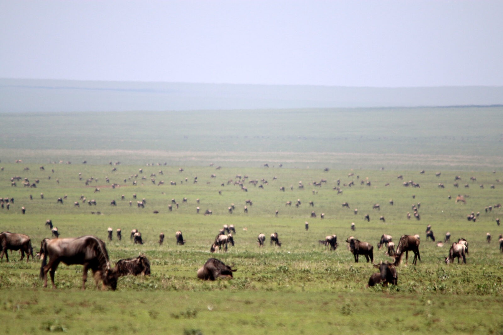 Serengeti National Park