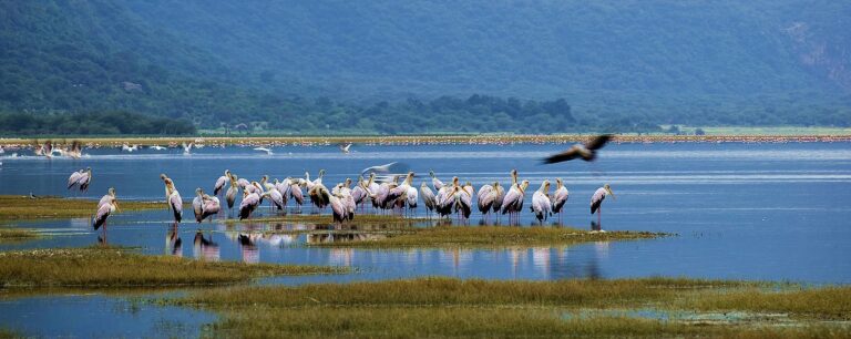 Lake Manyara National Park