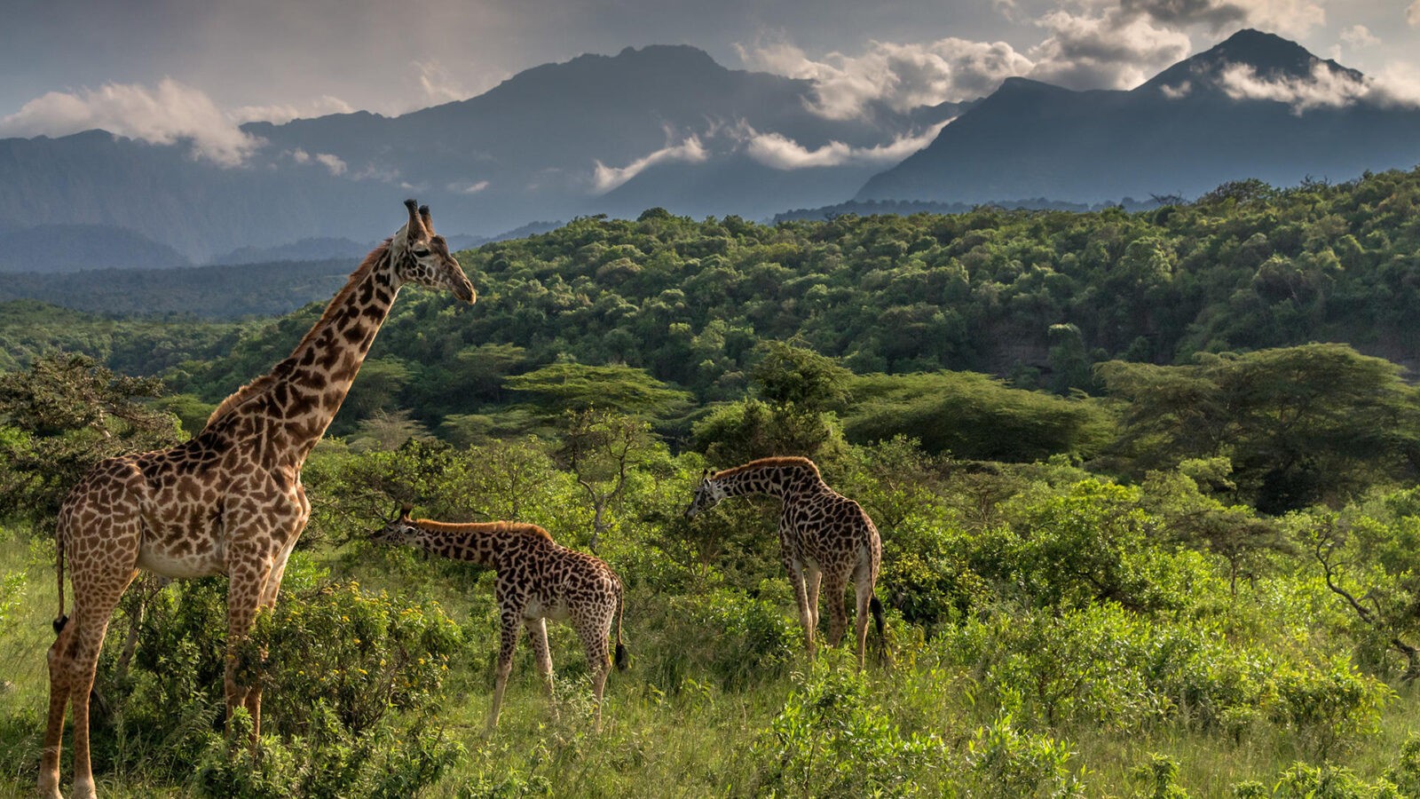 Arusha National Park