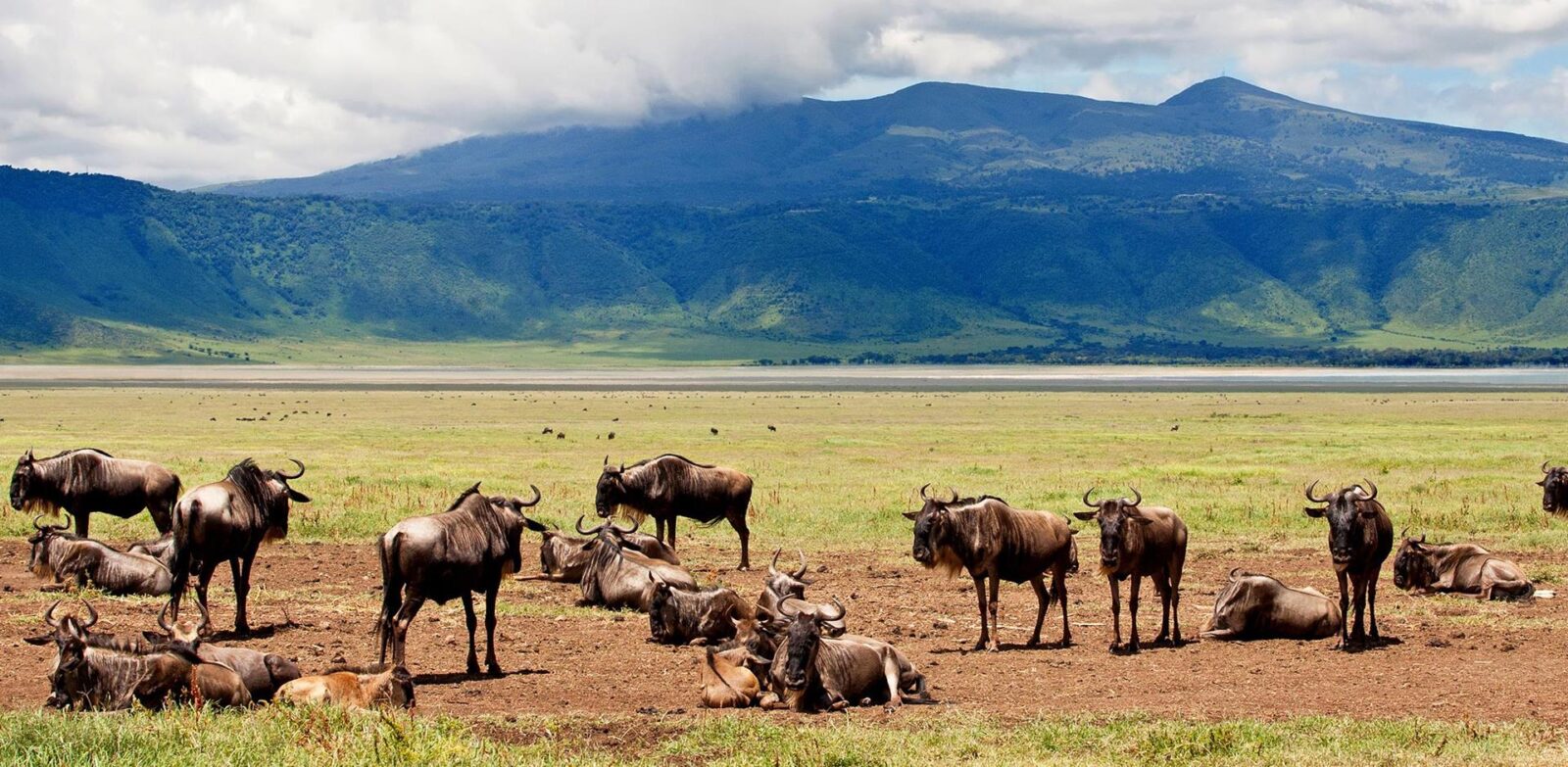 Ngorongoro Crater