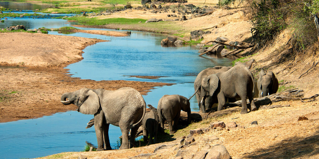 Ruaha attractions