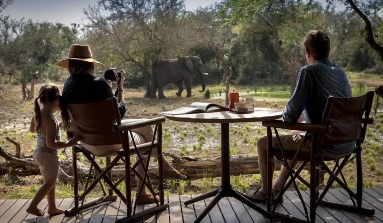 Home 8 9-Day Tanzanian Family Trek and Beach Retreat